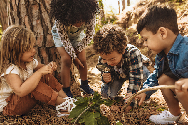 Kids looking at leaf