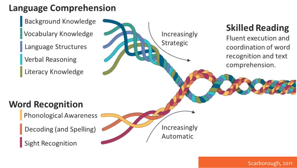 Language comprehension( background knowledge; vocabulary knowledge; language structures verbal reasoning; literacy knowledge) are increasingly strategic. Word Recognition (phonological awareness; decoding and spelling; sight recognition) are increasingly automatic. Skilled reading is then the fluent execution and coordination of word recognition and text comprehension. 